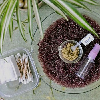 成都归去来兮小中医复式酒店提供图片