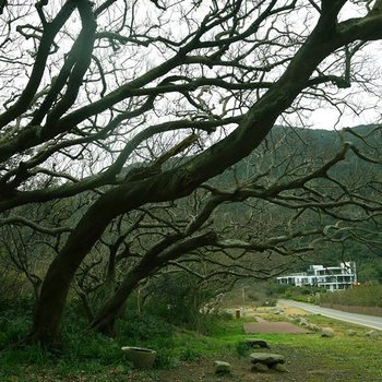 朱家尖菩海听涛山庄酒店提供图片