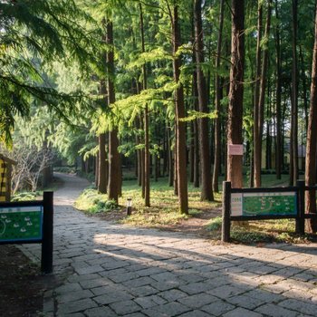 上海共青森林公园度假村酒店提供图片