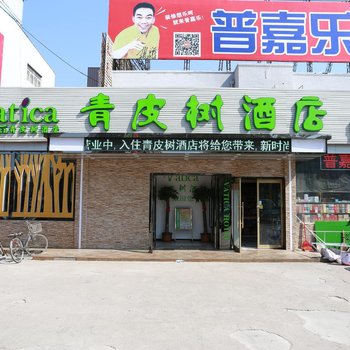 青皮树酒店