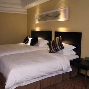 新余龙华国际大酒店酒店提供图片
