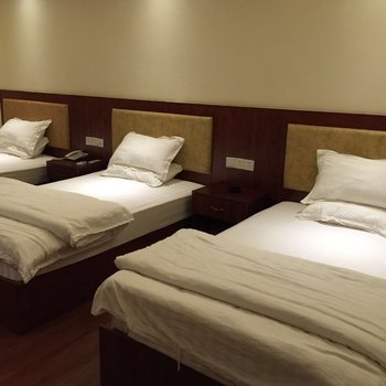 雷州英利顺隆宾馆酒店提供图片