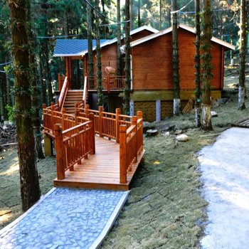 永嘉四海山石斛谷森林度假小木屋