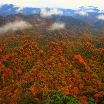 南江光雾山高洞周鲶鱼酒店提供图片