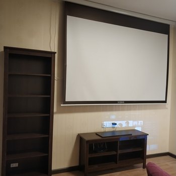 武汉匹兹堡的叶子公寓(2号店)