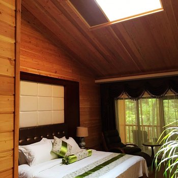 洛阳白云山森林木屋度假酒店酒店提供图片
