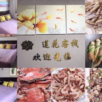 朱家尖莲花客栈