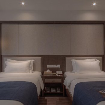 一灃禅意精品酒店(重庆江北机场店)酒店提供图片