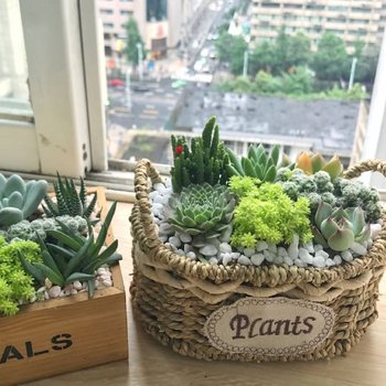南宁伟芳138公寓(汇东巷分店)酒店提供图片