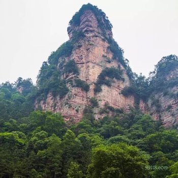 张家界漫游客栈酒店提供图片