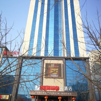 镇赉飞翔铂金大酒店酒店提供图片