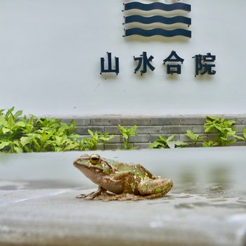 青城后山山水合院酒店提供图片