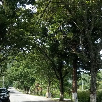 井冈山青草客栈酒店提供图片