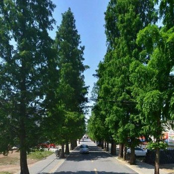 九华山老街宾馆