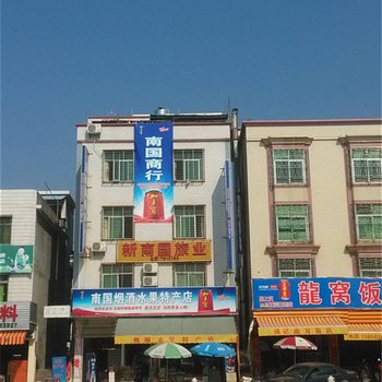 紫金新南国旅业