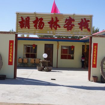 金塔县胡杨林客栈公寓酒店提供图片