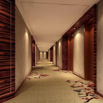 吉安市新干县华城国际大酒店酒店提供图片