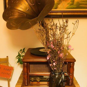 成都周曦普通公寓酒店提供图片