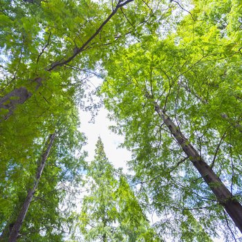 上海Belink阳光之家复式酒店提供图片