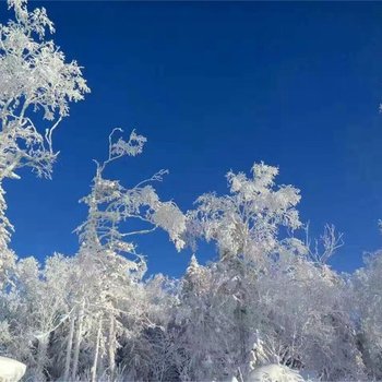 雪乡踏雪阁酒店提供图片