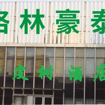 青皮树酒店(上海浦东新区滴水湖店)酒店提供图片