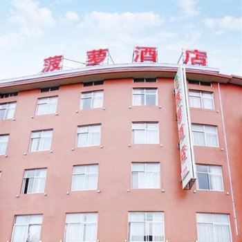 横店菠萝酒店
