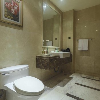 石家庄威尼斯水世界大酒店酒店提供图片