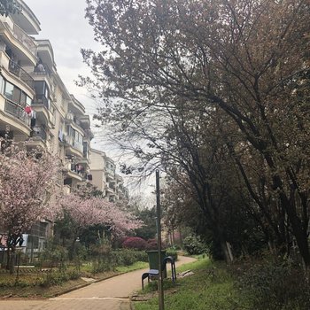 武汉森与公寓
