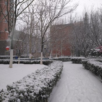 北京禾木棒棒棒公寓