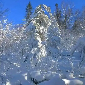 雪乡二浪河刘正芳家庭旅馆酒店提供图片