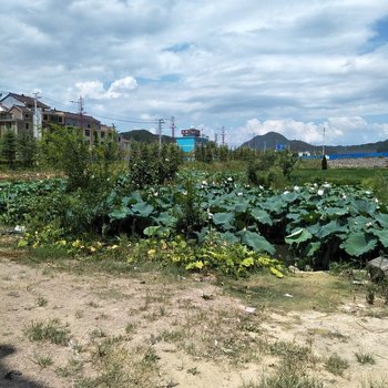 金华有间民宿酒店提供图片