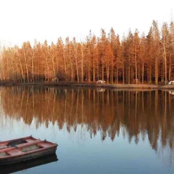扬州渌洋湖湿地公园休闲度假屋木屋酒店提供图片