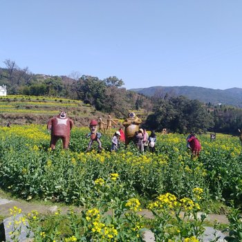 婺源江岭温馨阁民宿酒店提供图片