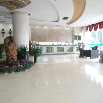 成县宇丰大酒店酒店提供图片