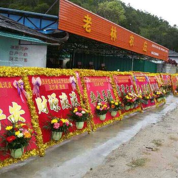 惠州惠东老林农庄