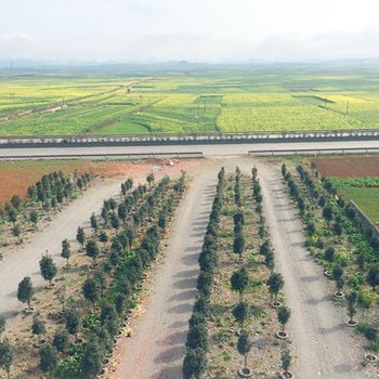 罗平花海福源山庄