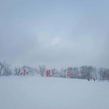 牡丹江雪福莱客栈酒店提供图片