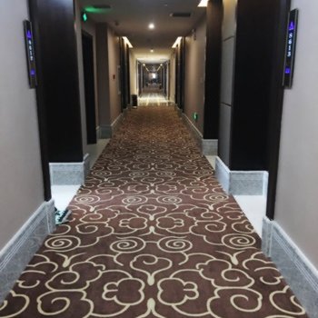 太康林奚商务酒店酒店提供图片
