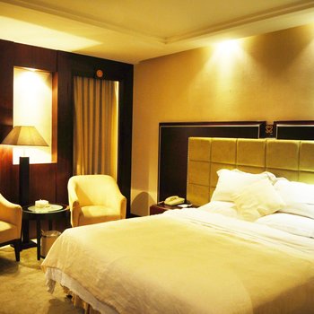 潮州声乐大酒店酒店提供图片