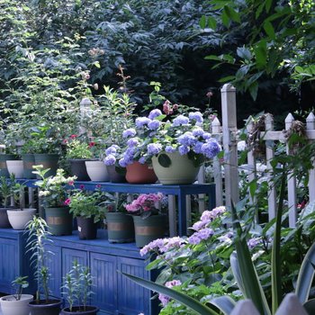 成都空中花园精品民宿(青羊大道草金路口店)酒店提供图片