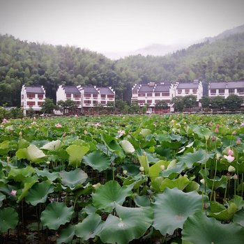 丽水莲理枝客栈酒店提供图片