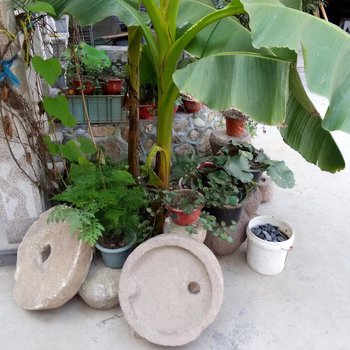莫干山竹溪雅居农庄(农家乐)酒店提供图片