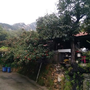 蒙阴百花峪旅游客栈酒店提供图片