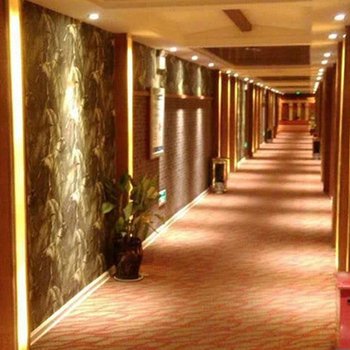 鹤壁华府三号温泉酒店酒店提供图片