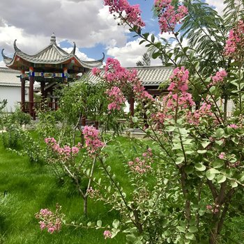 中卫沙坡头壹号院酒店酒店提供图片