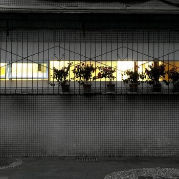 成都栖居城市民宿闹市心观店