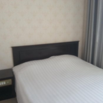 阿拉善左旗吉兰太镇金融宾馆酒店提供图片