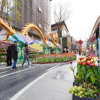 成都如心精选公寓酒店提供图片