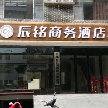 田林辰铭商务酒店