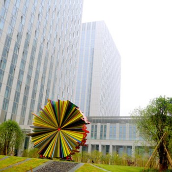 杭州斯维登度假公寓(远景IBC)